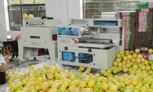 熱收縮膜包裝機(jī)十大品牌，2024熱收縮膜包裝機(jī)排行榜【品牌排名】